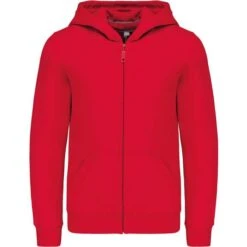 KARIBAN K455 - Sweat-shirt Capuche Zippé Enfant -Karioact Boutique aHR0cDovL21lZGlhMi5kZXNpZ25wYXJ0bmVyLmZyL2MvcC82ODU1LzY4NTUtMTI2Mi0xLmpwZw