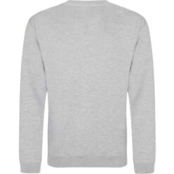 JH030 - Sweatshirt AWDis 38 JH030 - Sweatshirt AWDis -Karioact Boutique aHR0cDovL21lZGlhMi5kZXNpZ25wYXJ0bmVyLmZyL2MvcC83NjYyLzc2NjItMzM2Ni0yLmpwZw