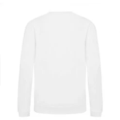 JH030J - Sweatshirt Enfant AWDis -Karioact Boutique aHR0cDovL21lZGlhMi5kZXNpZ25wYXJ0bmVyLmZyL2MvcC83NjYzLzc2NjMtMzM2NC0yLmpwZw