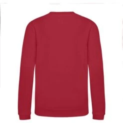 JH030J - Sweatshirt Enfant AWDis -Karioact Boutique aHR0cDovL21lZGlhMi5kZXNpZ25wYXJ0bmVyLmZyL2MvcC83NjYzLzc2NjMtMzM2Ny0yLmpwZw