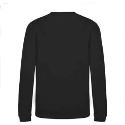 JH030J - Sweatshirt Enfant AWDis -Karioact Boutique aHR0cDovL21lZGlhMi5kZXNpZ25wYXJ0bmVyLmZyL2MvcC83NjYzLzc2NjMtMzM3My0yLmpwZw