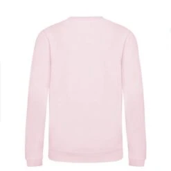 JH030J - Sweatshirt Enfant AWDis -Karioact Boutique aHR0cDovL21lZGlhMi5kZXNpZ25wYXJ0bmVyLmZyL2MvcC83NjYzLzc2NjMtMzM4OS0yLmpwZw