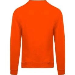 KARIBAN K474 - Sweat-shirt Col Rond -Karioact Boutique aHR0cDovL21lZGlhMi5kZXNpZ25wYXJ0bmVyLmZyL2MvcC8xMDU5NS8xMDU5NS0xMjU0LTIuanBn