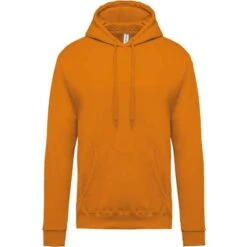 KARIBAN K476 - Sweat-shirt Capuche Homme -Karioact Boutique aHR0cDovL21lZGlhMi5kZXNpZ25wYXJ0bmVyLmZyL2MvcC8xMDU5Ny8xMDU5Ny0xOTczOC0xLmpwZw