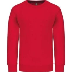 KARIBAN K475 - Sweat-shirt Col Rond Enfant 29 KARIBAN K475 - Sweat-shirt Col Rond Enfant -Karioact Boutique aHR0cDovL21lZGlhMi5kZXNpZ25wYXJ0bmVyLmZyL2MvcC8xMDYxNi8xMDYxNi0xMjYyLTEuanBn