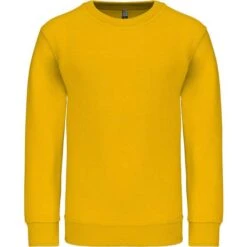 KARIBAN K475 - Sweat-shirt Col Rond Enfant 32 KARIBAN K475 - Sweat-shirt Col Rond Enfant -Karioact Boutique aHR0cDovL21lZGlhMi5kZXNpZ25wYXJ0bmVyLmZyL2MvcC8xMDYxNi8xMDYxNi0xMzQzLTEuanBn
