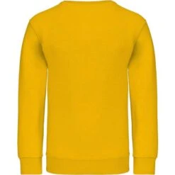 KARIBAN K475 - Sweat-shirt Col Rond Enfant 33 KARIBAN K475 - Sweat-shirt Col Rond Enfant -Karioact Boutique aHR0cDovL21lZGlhMi5kZXNpZ25wYXJ0bmVyLmZyL2MvcC8xMDYxNi8xMDYxNi0xMzQzLTIuanBn