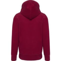 KARIBAN KV2308 - Sweat-shirt Capuche Homme 25 KARIBAN KV2308 - Sweat-shirt Capuche Homme -Karioact Boutique aHR0cDovL21lZGlhMi5kZXNpZ25wYXJ0bmVyLmZyL2MvcC8xNDk4NS8xNDk4NS0xNzc4Ny0yLmpwZw