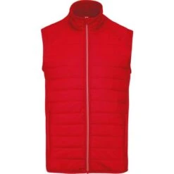 PROACT PA235 - Veste Sport Bi-matière Sans Manches -Karioact Boutique aHR0cDovL21lZGlhMi5kZXNpZ25wYXJ0bmVyLmZyL2MvcC8xNTAyMS8xNTAyMS0xMjA2NC0xLmpwZw