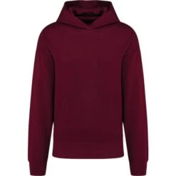 KARIBAN K4018 - Sweatshirt à Capuche Molleton Oversize Unisexe -Karioact Boutique aHR0cDovL21lZGlhMi5kZXNpZ25wYXJ0bmVyLmZyL2MvcC8xNzQyNi8xNzQyNi0xMzQyLTEuanBn