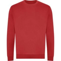 JH230 - Organic Sweat -Karioact Boutique aHR0cDovL21lZGlhMi5kZXNpZ25wYXJ0bmVyLmZyL2MvcC8xNzg1My8xNzg1My0zMzY3LTEuanBn