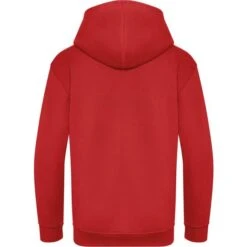 JH201J - Kids Organic Hoodie -Karioact Boutique aHR0cDovL21lZGlhMi5kZXNpZ25wYXJ0bmVyLmZyL2MvcC8xNzgzMS8xNzgzMS0zMzY3LTIuanBn
